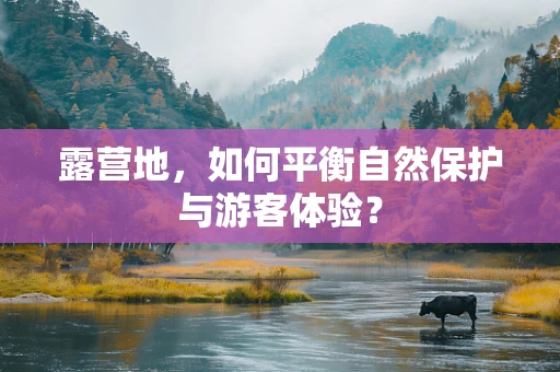 露营地，如何平衡自然保护与游客体验？