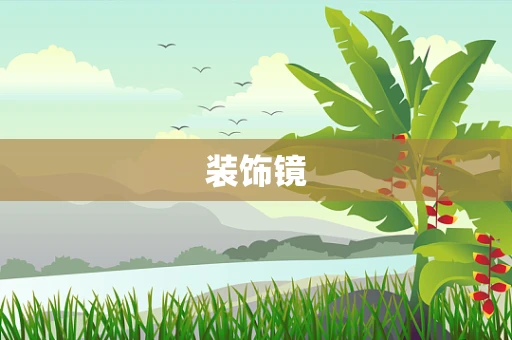 装饰镜