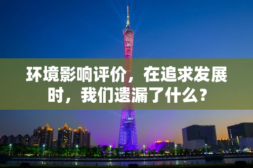 环境影响评价，在追求发展时，我们遗漏了什么？