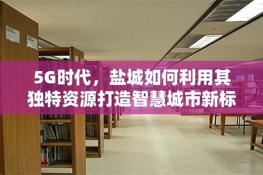 5G时代，盐城如何利用其独特资源打造智慧城市新标杆？
