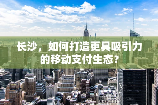 长沙，如何打造更具吸引力的移动支付生态？
