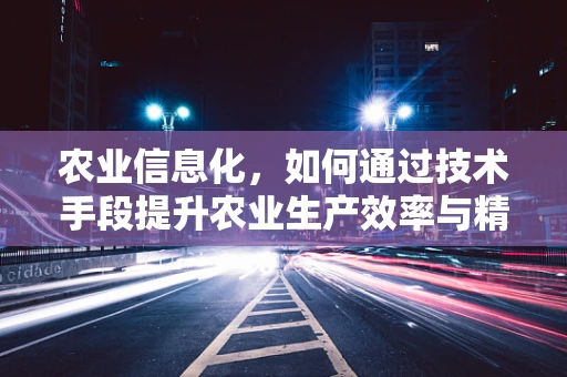 农业信息化，如何通过技术手段提升农业生产效率与精准度？