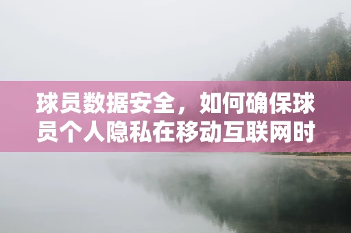 球员数据安全，如何确保球员个人隐私在移动互联网时代不被泄露？