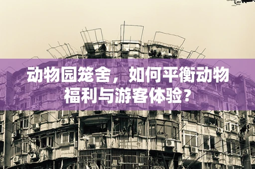 动物园笼舍，如何平衡动物福利与游客体验？