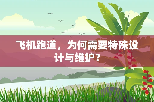 飞机跑道，为何需要特殊设计与维护？