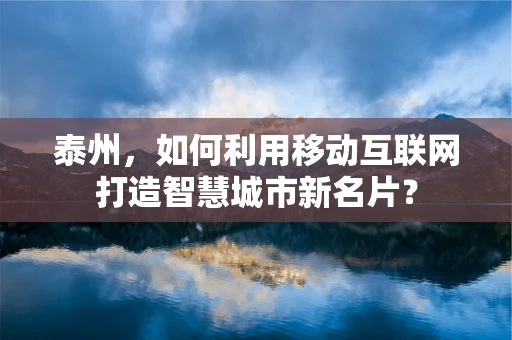 泰州，如何利用移动互联网打造智慧城市新名片？