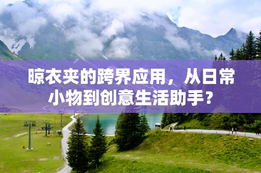 晾衣夹的跨界应用，从日常小物到创意生活助手？