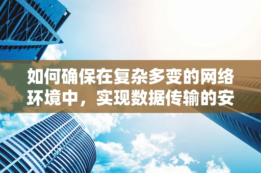 如何确保在复杂多变的网络环境中，实现数据传输的安全与高效？