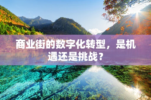 商业街的数字化转型，是机遇还是挑战？