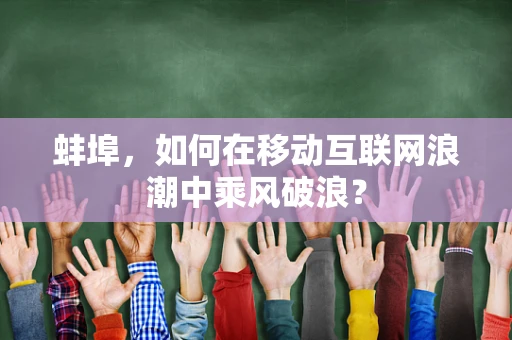 蚌埠，如何在移动互联网浪潮中乘风破浪？