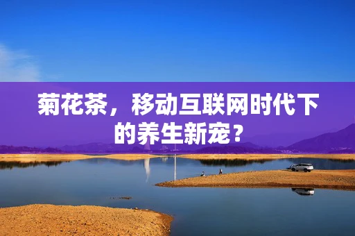菊花茶，移动互联网时代下的养生新宠？