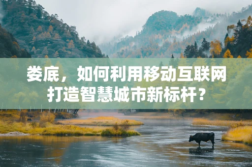 娄底，如何利用移动互联网打造智慧城市新标杆？