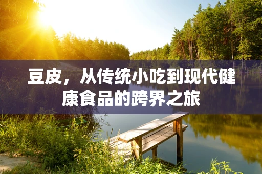 豆皮，从传统小吃到现代健康食品的跨界之旅