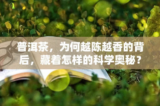 普洱茶，为何越陈越香的背后，藏着怎样的科学奥秘？