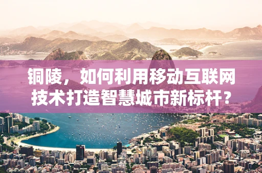 铜陵，如何利用移动互联网技术打造智慧城市新标杆？