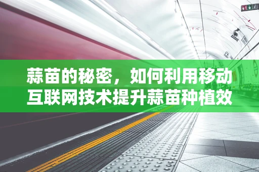 蒜苗的秘密，如何利用移动互联网技术提升蒜苗种植效率？