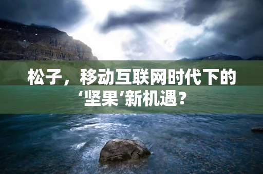 松子，移动互联网时代下的‘坚果’新机遇？