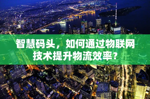 智慧码头，如何通过物联网技术提升物流效率？