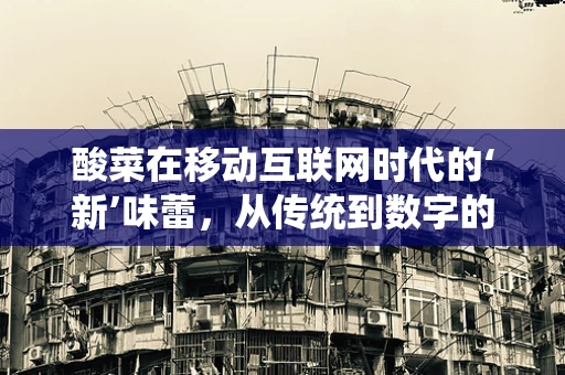 酸菜在移动互联网时代的‘新’味蕾，从传统到数字的跨界融合