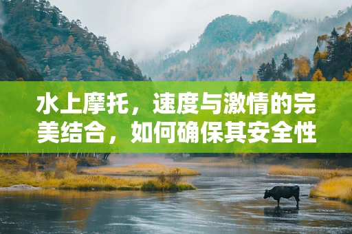 水上摩托，速度与激情的完美结合，如何确保其安全性和可持续性？