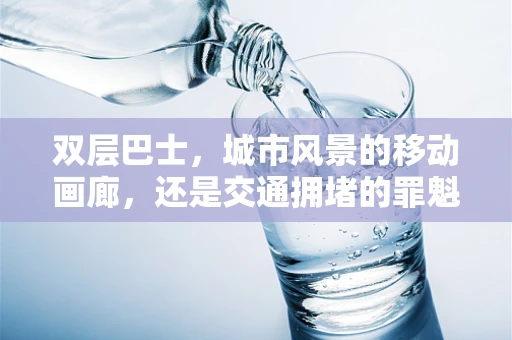 双层巴士，城市风景的移动画廊，还是交通拥堵的罪魁祸首？