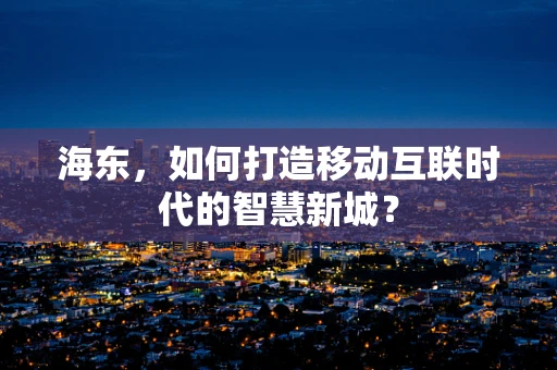 海东，如何打造移动互联时代的智慧新城？