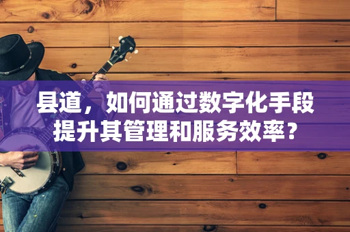 县道，如何通过数字化手段提升其管理和服务效率？