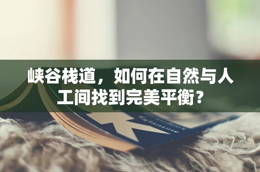 峡谷栈道，如何在自然与人工间找到完美平衡？