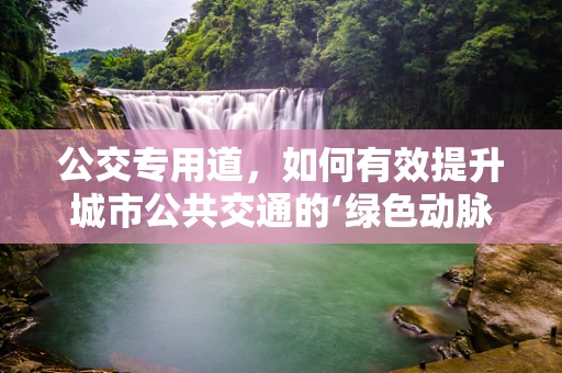 公交专用道，如何有效提升城市公共交通的‘绿色动脉’？