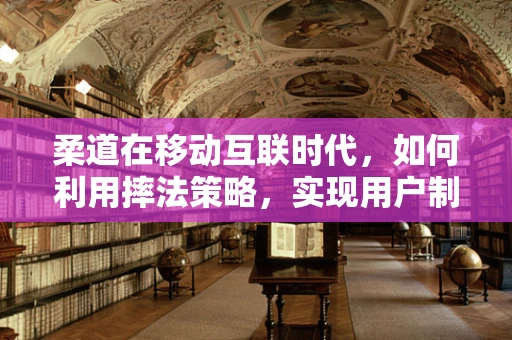 柔道在移动互联时代，如何利用摔法策略，实现用户制胜？