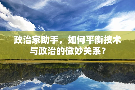 政治家助手，如何平衡技术与政治的微妙关系？