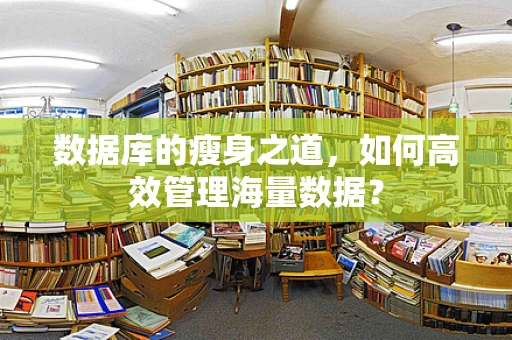 数据库的瘦身之道，如何高效管理海量数据？