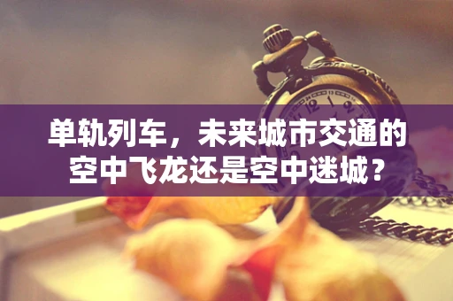 单轨列车，未来城市交通的空中飞龙还是空中迷城？