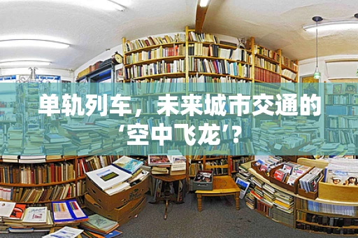 单轨列车，未来城市交通的‘空中飞龙’？