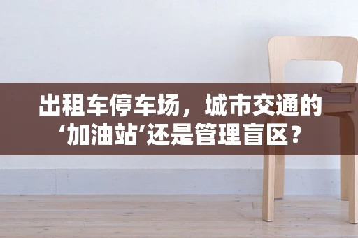 出租车停车场，城市交通的‘加油站’还是管理盲区？
