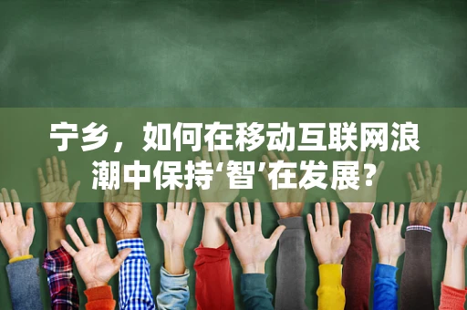 宁乡，如何在移动互联网浪潮中保持‘智’在发展？