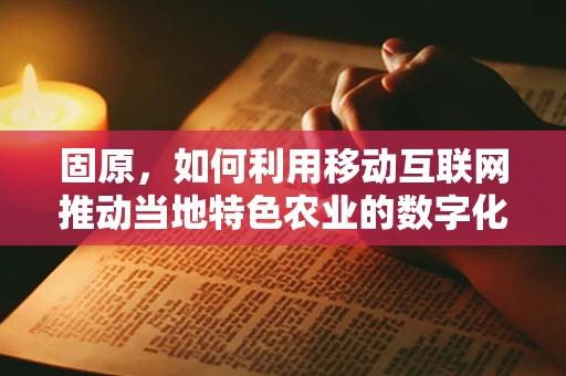 固原，如何利用移动互联网推动当地特色农业的数字化转型？