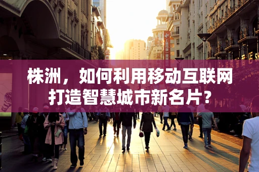 株洲，如何利用移动互联网打造智慧城市新名片？
