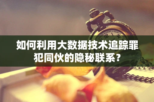 如何利用大数据技术追踪罪犯同伙的隐秘联系？