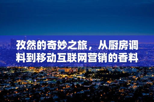 孜然的奇妙之旅，从厨房调料到移动互联网营销的香料？