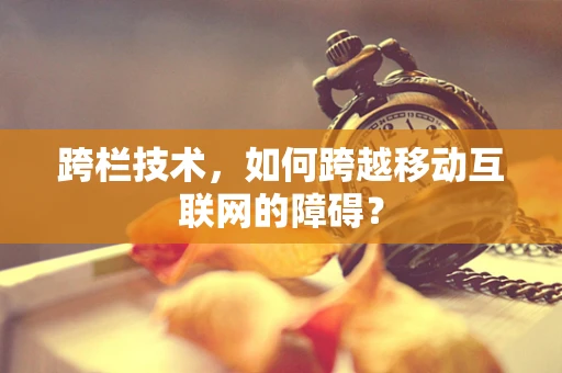 跨栏技术，如何跨越移动互联网的障碍？