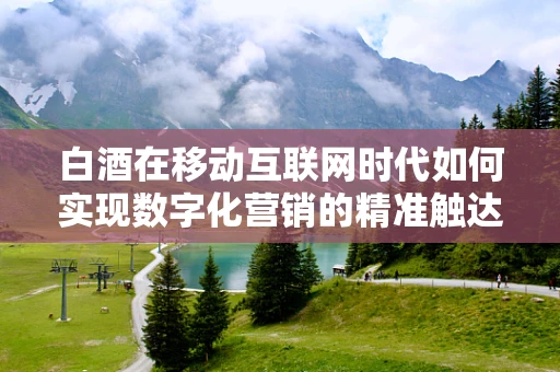 白酒在移动互联网时代如何实现数字化营销的精准触达？