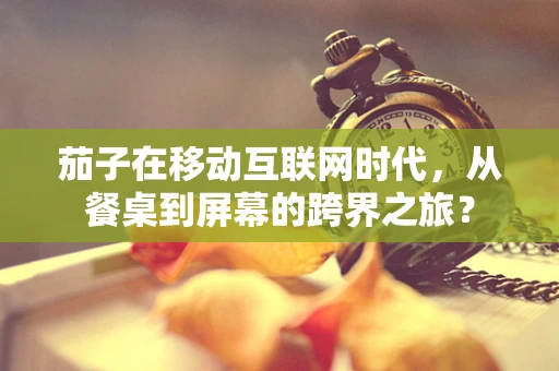 茄子在移动互联网时代，从餐桌到屏幕的跨界之旅？