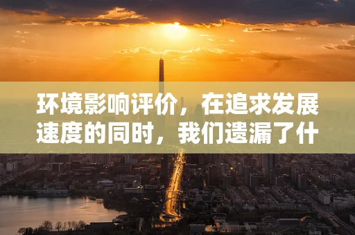 环境影响评价，在追求发展速度的同时，我们遗漏了什么？