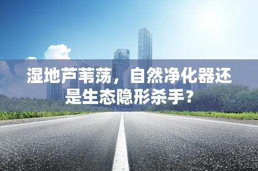 湿地芦苇荡，自然净化器还是生态隐形杀手？