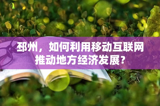 邳州，如何利用移动互联网推动地方经济发展？