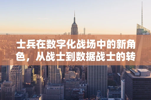 士兵在数字化战场中的新角色，从战士到数据战士的转变？