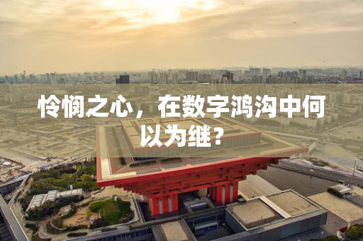 怜悯之心，在数字鸿沟中何以为继？