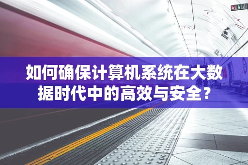 如何确保计算机系统在大数据时代中的高效与安全？