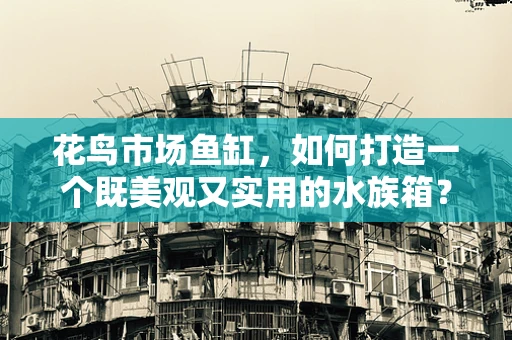 花鸟市场鱼缸，如何打造一个既美观又实用的水族箱？